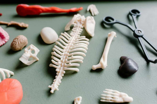 Lebih Dekat dengan Arthritis Beserta Penyebab dan Cara Menyembuhkannya