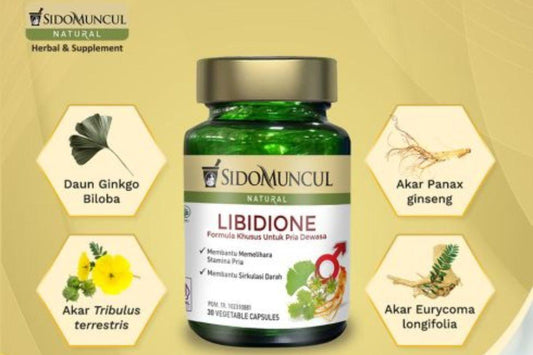 Manfaat Sidomuncul Libidione untuk Kesehatan dan Stamina