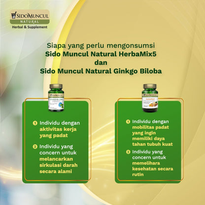 Paket Multi Proteksi 1 Sido Muncul Natural HerbaMix5 & Ginkgo Biloba