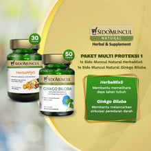 Paket Multi Proteksi 1 Sido Muncul Natural HerbaMix5 & Ginkgo Biloba