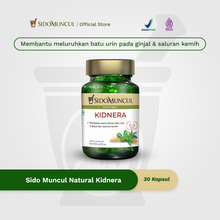 Sido Muncul Natural Kidnera 30 Capsules - Helps Dissolve Kidney and Urinary Tract Stones