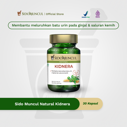 Sido Muncul Natural Kidnera 30 Kapsul - Membantu Meluruhkan Batu Urin di Ginjal dan Saluran Kemih