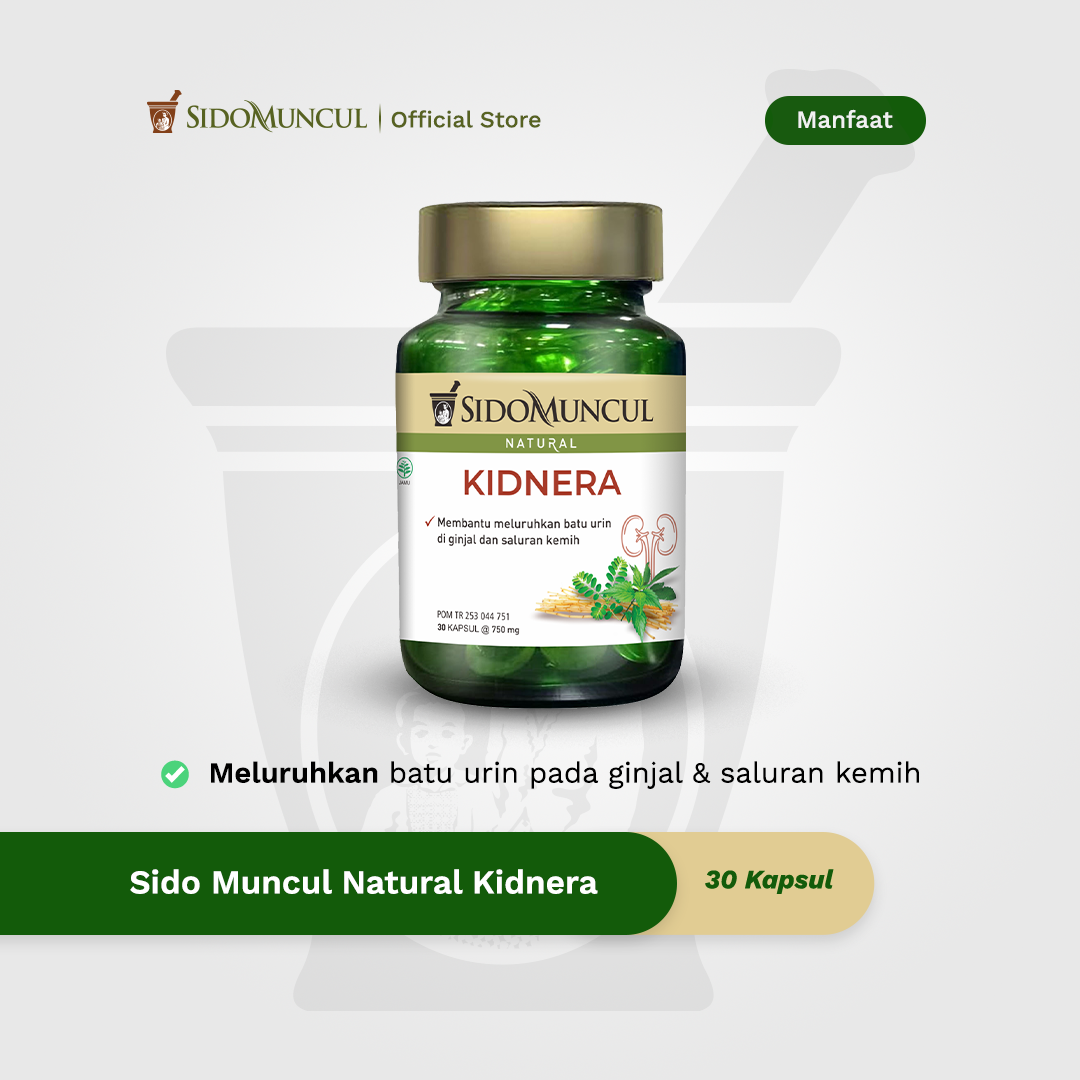 Sido Muncul Natural Kidnera 30 Kapsul - Membantu Meluruhkan Batu Urin di Ginjal dan Saluran Kemih
