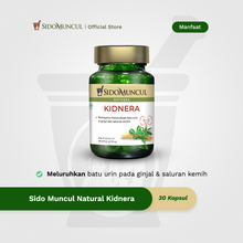 Sido Muncul Natural Kidnera 30 Capsules - Helps Dissolve Kidney and Urinary Tract Stones