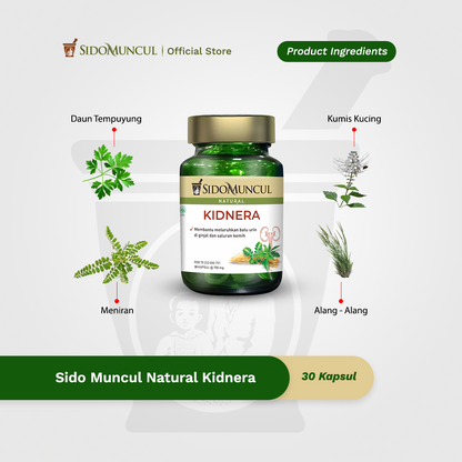 Sido Muncul Natural Kidnera 30 Kapsul - Membantu Meluruhkan Batu Urin di Ginjal dan Saluran Kemih