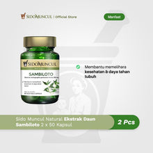 Immune Starter Pack 1 - Sido Muncul Natural Ekstrak Daun Sambiloto 2x