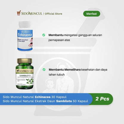 Immune Starter Pack 7 - Sido Muncul Echinacea + Sambiloto Leaf
