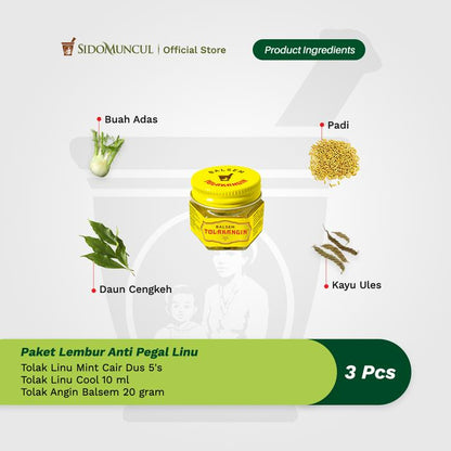 Paket Lembur Anti Pegal Linu-Tolak Linu Mint Cair Cool Balsem