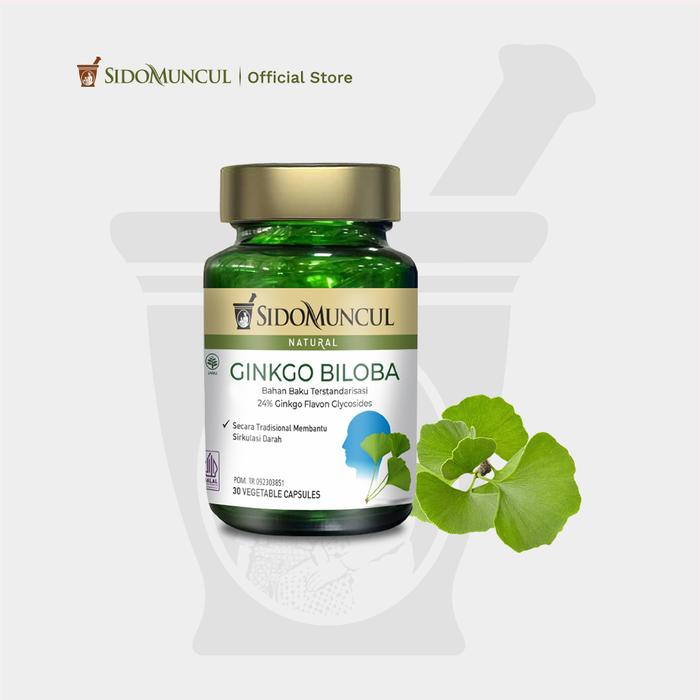 Brain Nutrition Package 1 - Sido Muncul Herbal Ginkgo Biloba 30 Capsules 2x