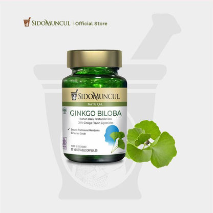 Brain Nutrition Package 1 - Sido Muncul Herbal Ginkgo Biloba 30 Capsules 2x