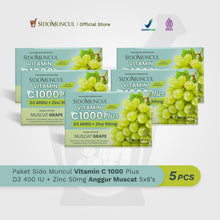 Sido Muncul Vitamin C 1000 Plus D3 400 + Zinc 50mg Muscat Grape 5x6s