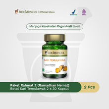 Rahmat Package 2 (Economical Ramadan) - 2 Bottles of Temulawak Extract