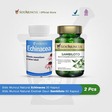 Immune Starter Pack 7 - Sido Muncul Echinacea + Sambiloto Leaf
