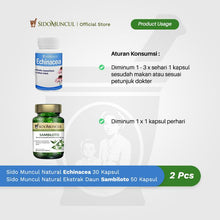 Immune Starter Pack 7 - Sido Muncul Echinacea + Sambiloto Leaf
