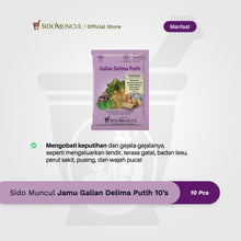Sido Muncul White Pomegranate Herbal Supplement, Pack of 10 – Vaginal Discharge for Women