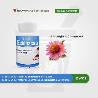 Immune Starter Pack 7 - Sido Muncul Echinacea + Sambiloto Leaf