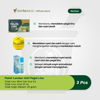 Paket Lembur Anti Pegal Linu-Tolak Linu Mint Cair Cool Balsem