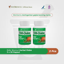 Blood Sugar Package - Sido Muncul Diabe, 30 Capsules, 2x