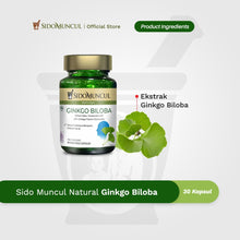 Sido Muncul Herbal Ginkgo Biloba 30 Capsules - Traditionally Used to Help Blood Circulation