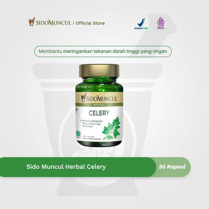 Sido Muncul Herbal Celery 30 Kapsul - Membantu Meringankan Tekanan Darah Tinggi yang Ringan