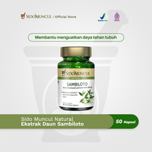 Sido Muncul Natural Sambiloto Leaf Extract Capsule 50 Body Resistance