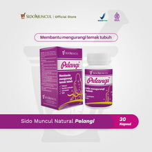 Sido Muncul Pelangi 30 Chitosan Capsules - Binds Digestive Fat