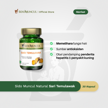 Sido Muncul Herbal Sari Temulawak - Healthy Liver Antioxidant Hepatitis