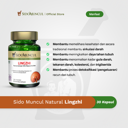 Sido Muncul Herbal Lingzhi 30 Capsules - Helps Maintain Health and Traditionally Helps Blood Circulation