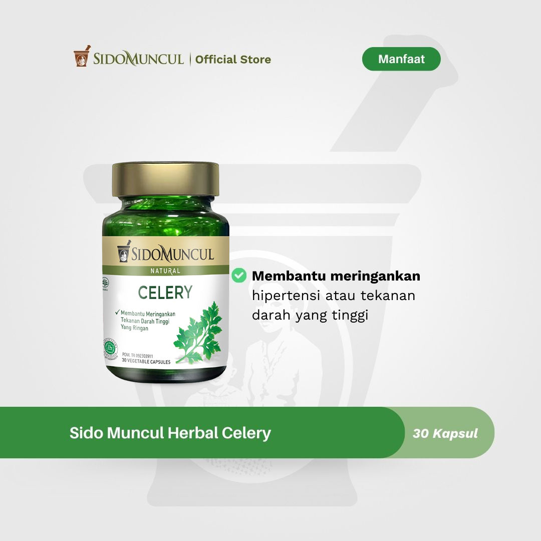 Sido Muncul Herbal Celery 30 Kapsul - Membantu Meringankan Tekanan Darah Tinggi yang Ringan