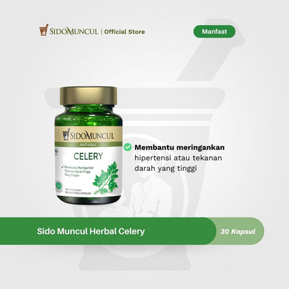 Sido Muncul Herbal Celery 30 Kapsul - Membantu Meringankan Tekanan Darah Tinggi yang Ringan