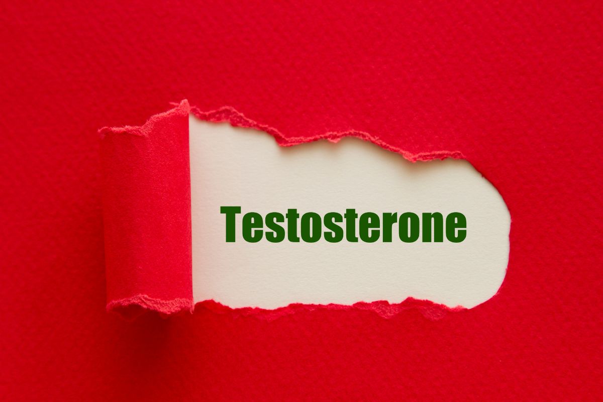 8 Fungsi Hormon Testosteron, Hormonnya Para Pria