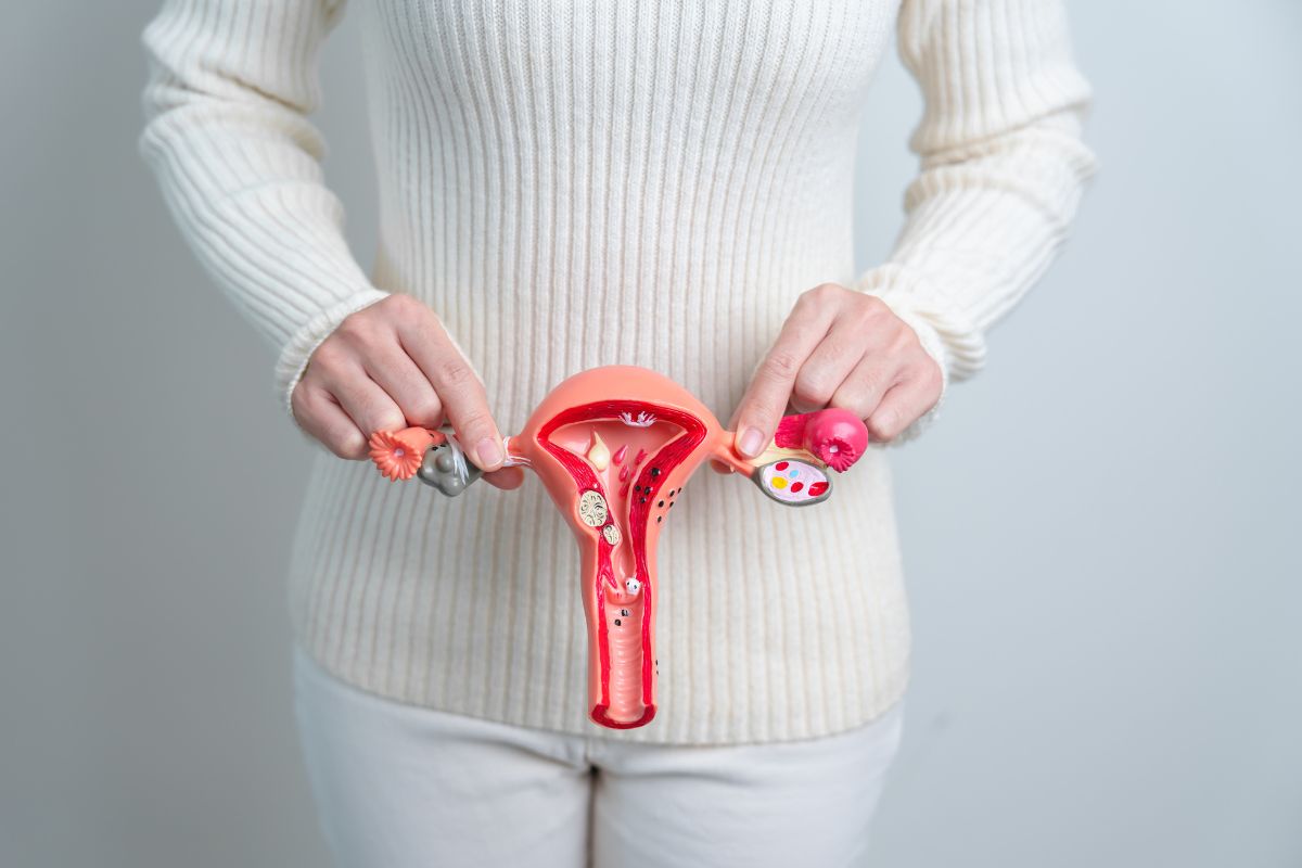 Model uterus dengan kondisi fibroid rahim