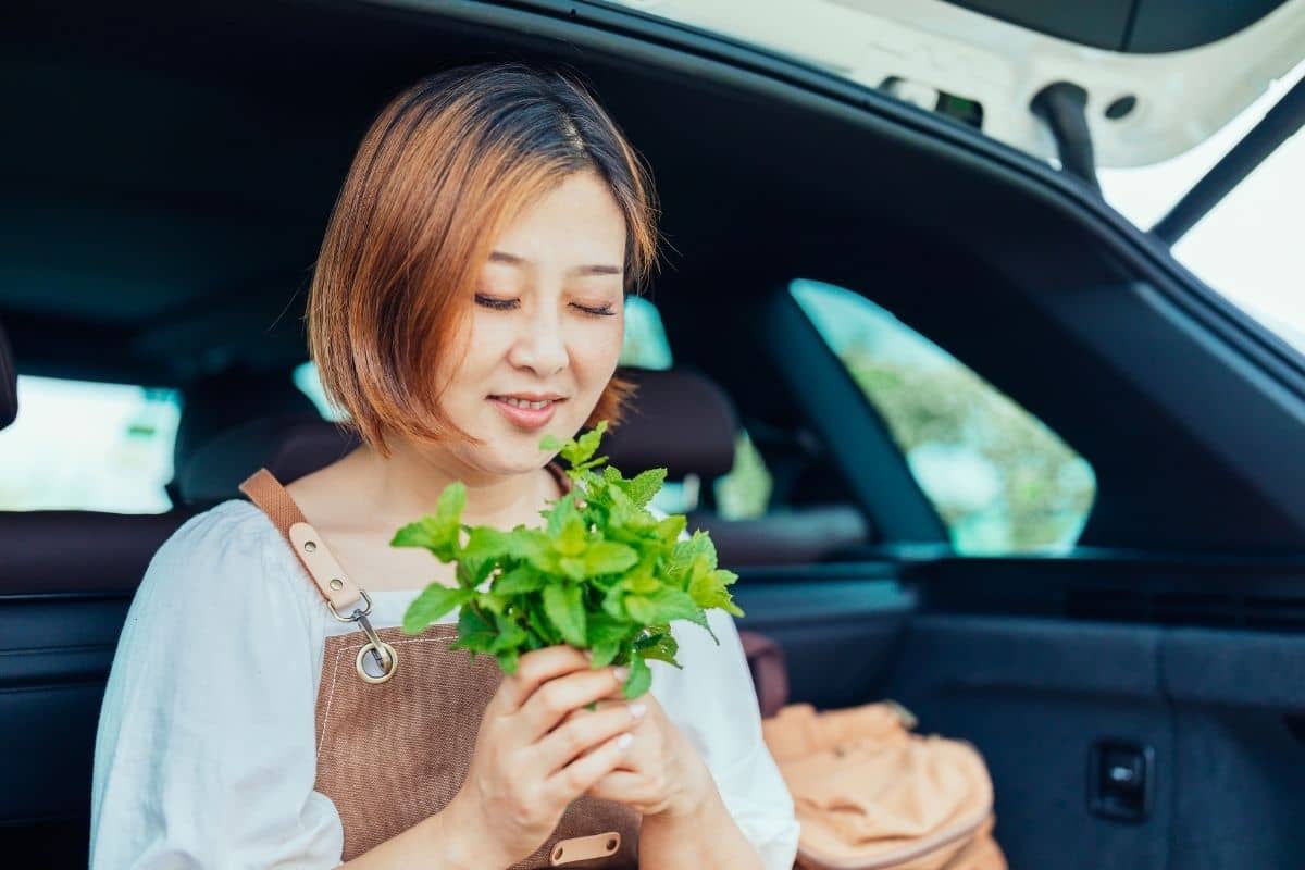 Seorang wanita mencium wangi daun mint