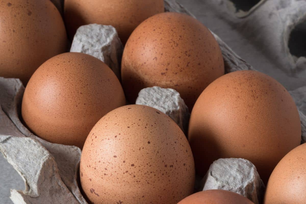 Telur ayam dalam wadah karton