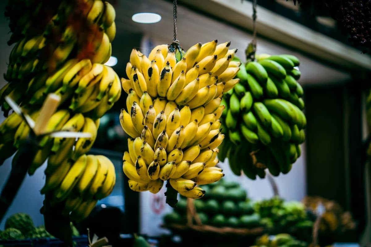 Banyak pisang bergantungan di pasar buah