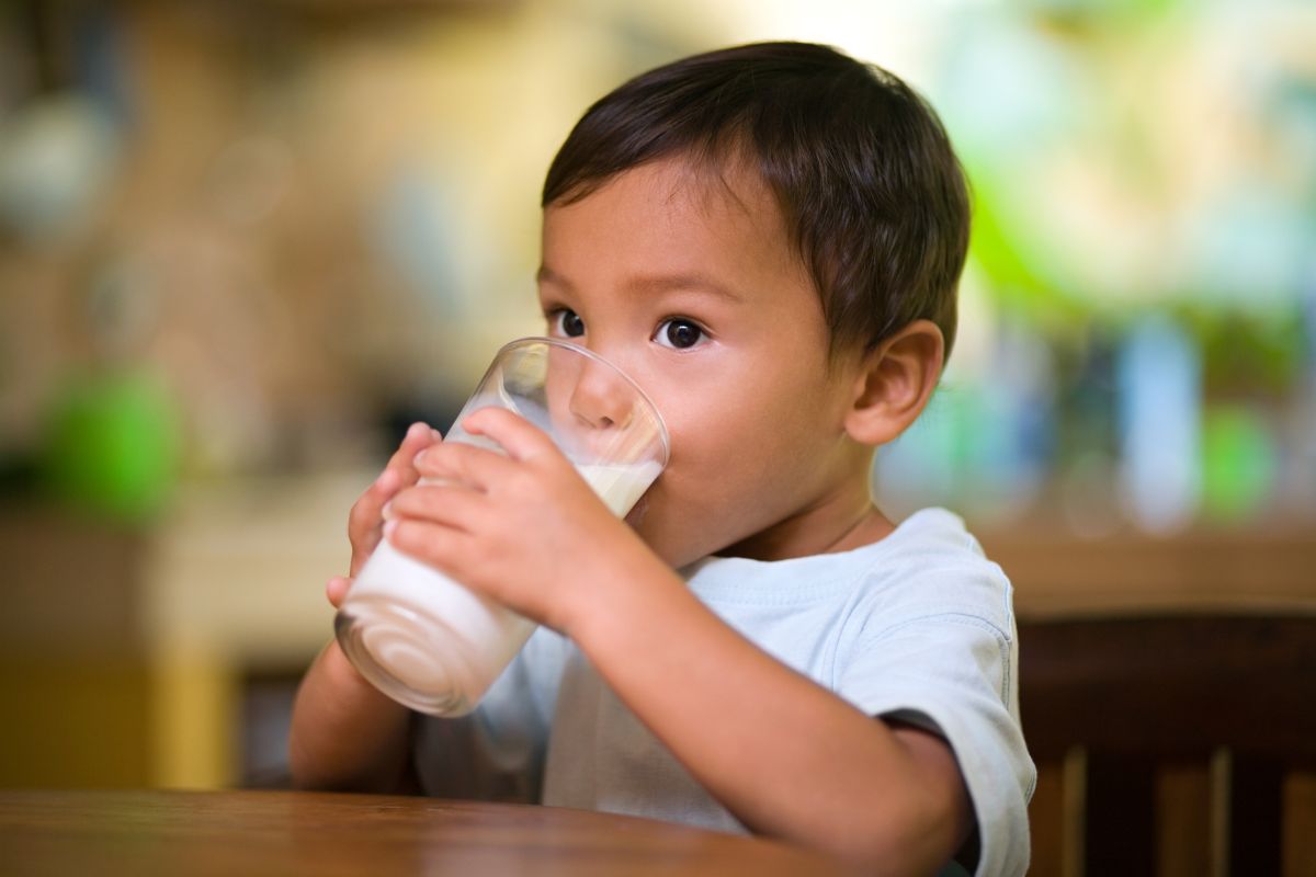 Anak laki-laki sedang minum susu