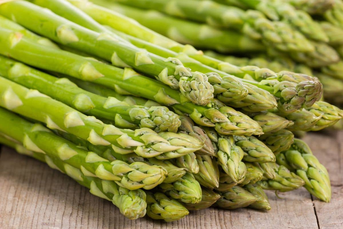 Asparagus segar