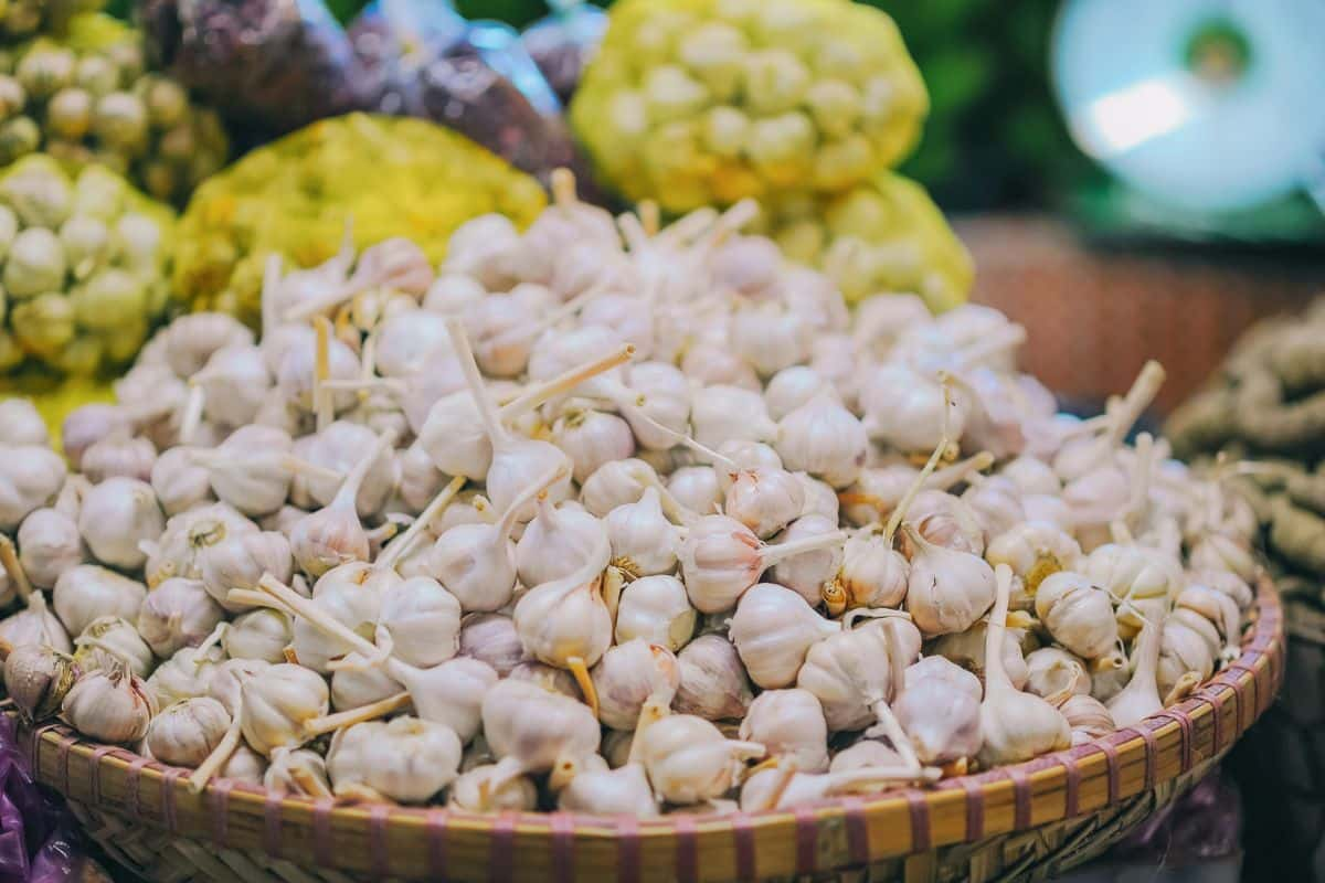 Tumpukan bawang putih dalam wadah keranjang