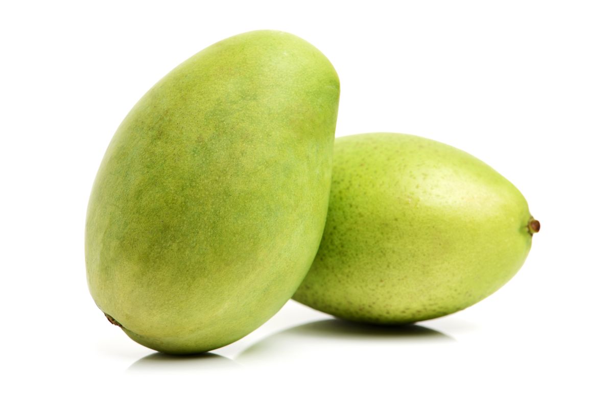 Buah mangga segar