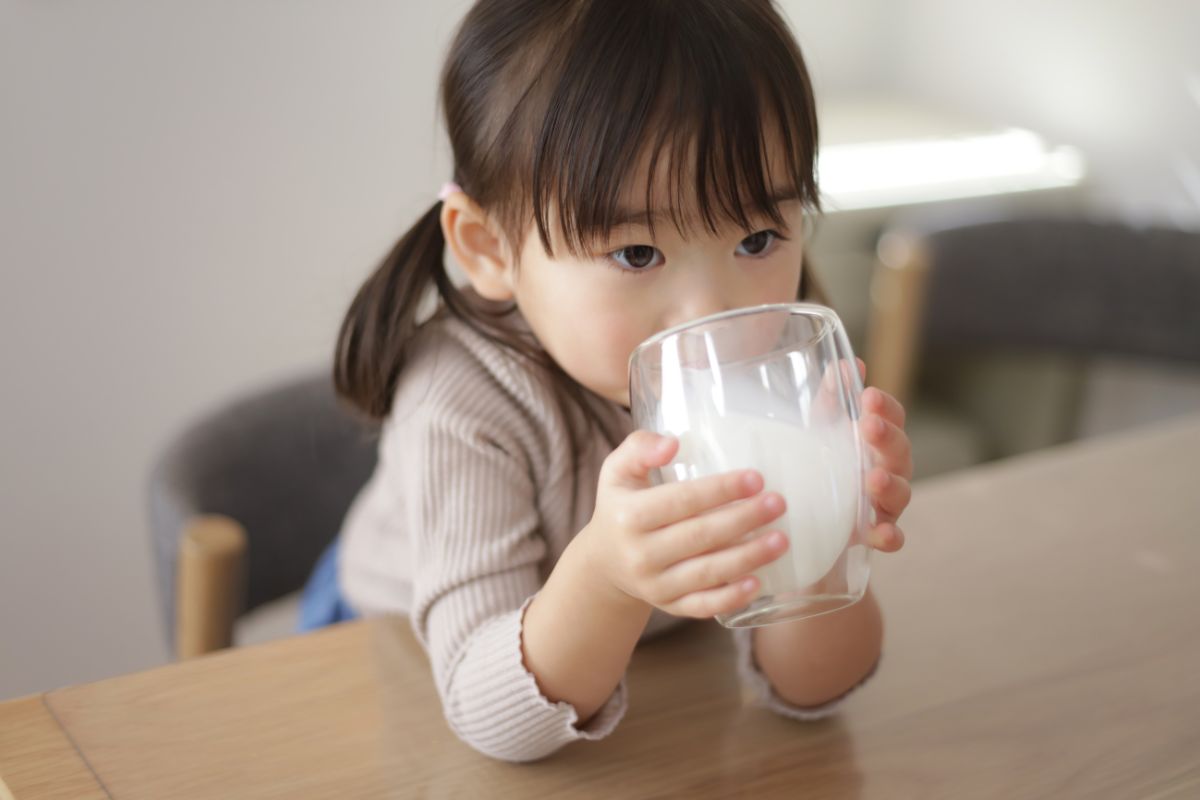 Anak kecil sedang minum susu