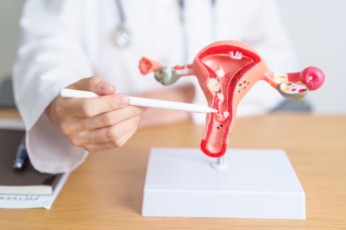 Dokter menunjukkan model uterus