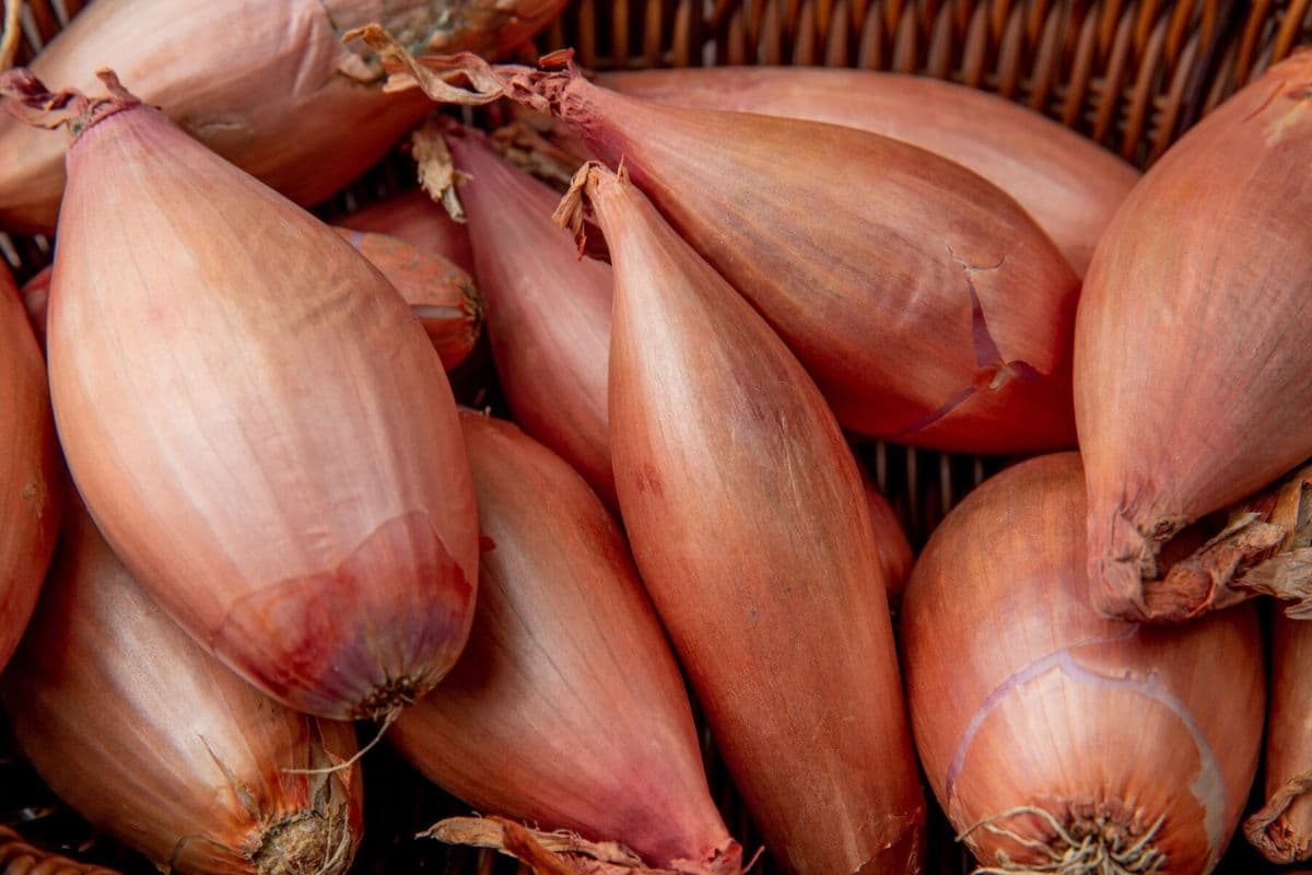 Tumpukan bawang merah