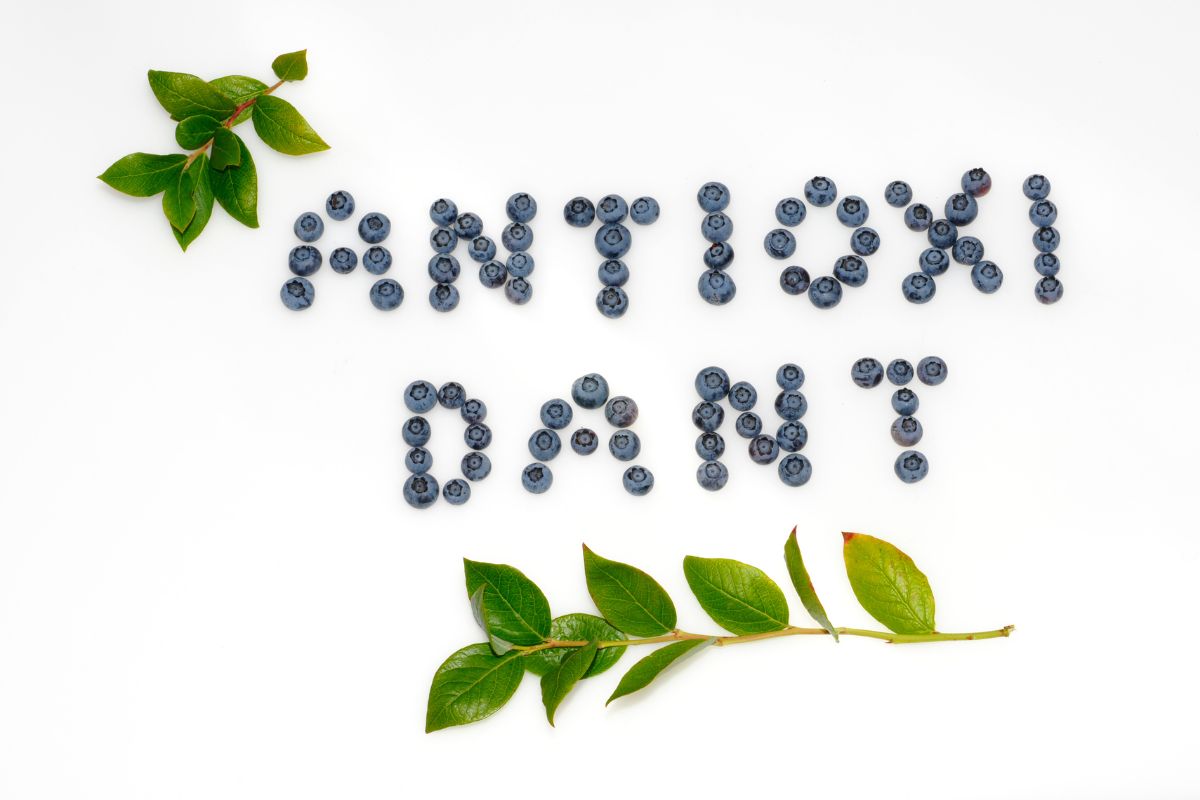 Buah beri yang disusun membentuk kata "antioxidant"