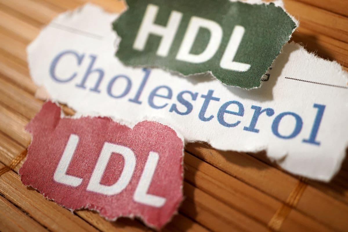 Potongan kertas bertuliskan cholesterol, HDL, dan LDL