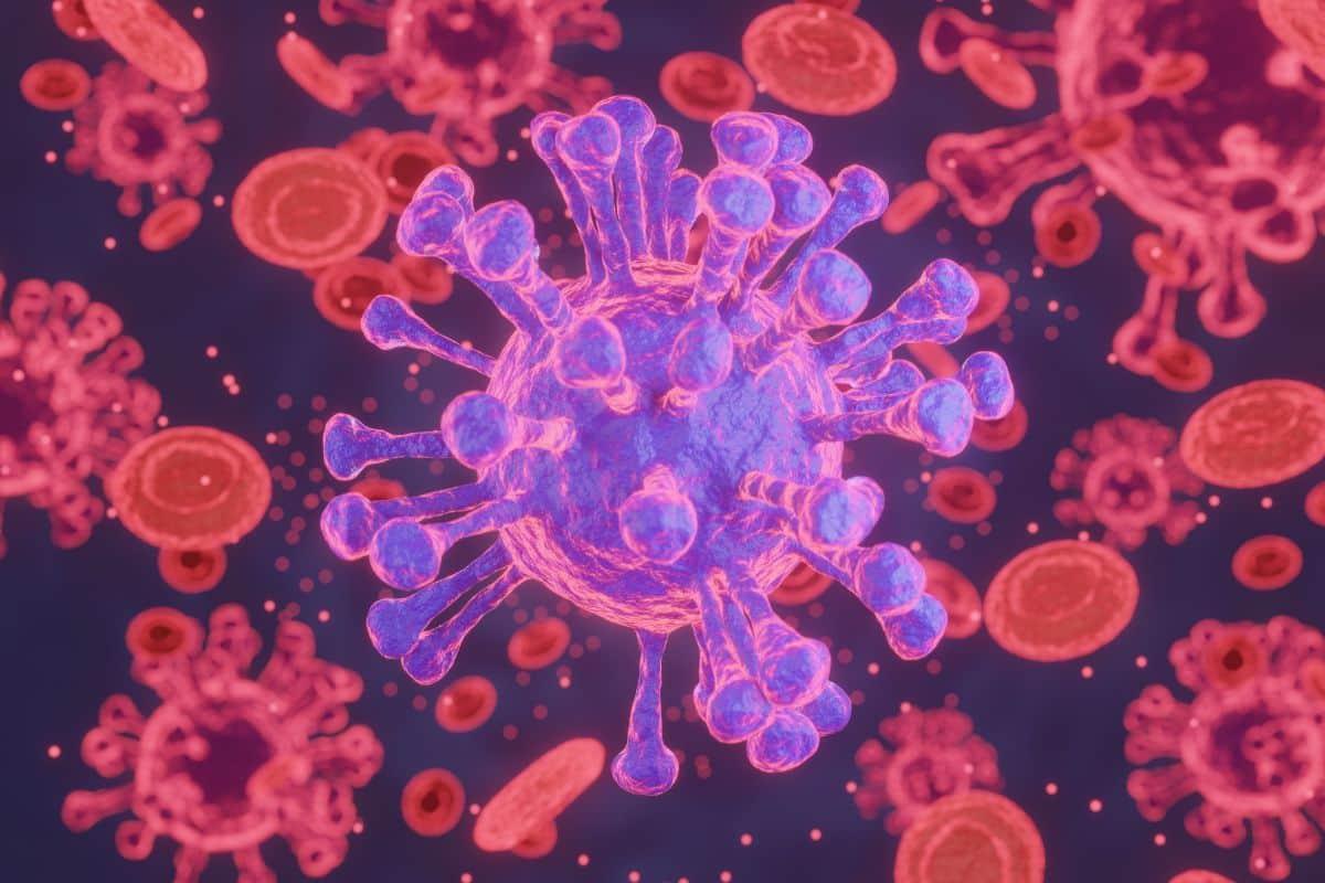 Gambaran anatomi virus