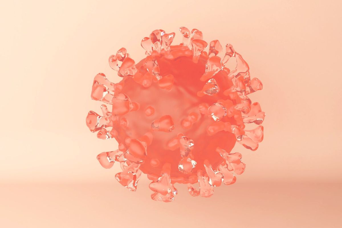 Virus herpes