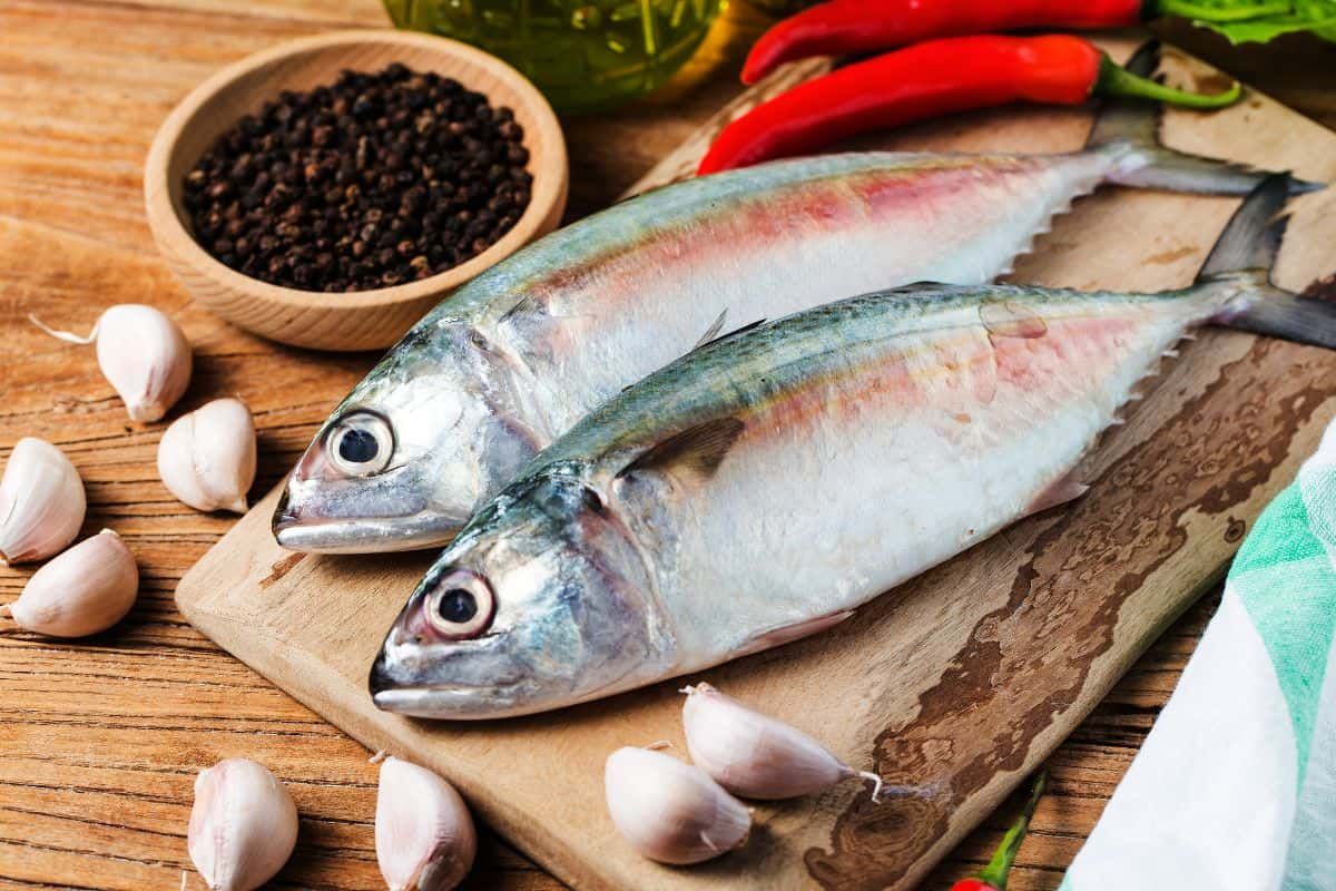 Ikan mackerel di atas talenan