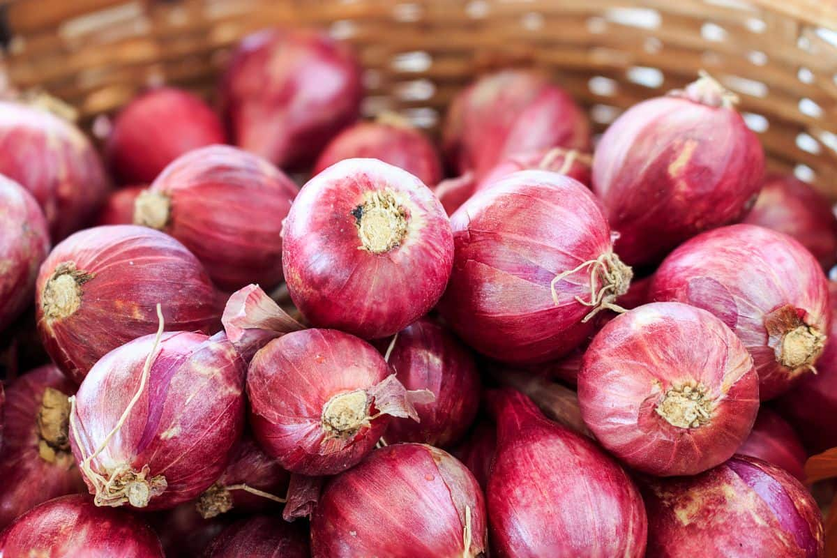 Sekeranjang penuh bawang merah