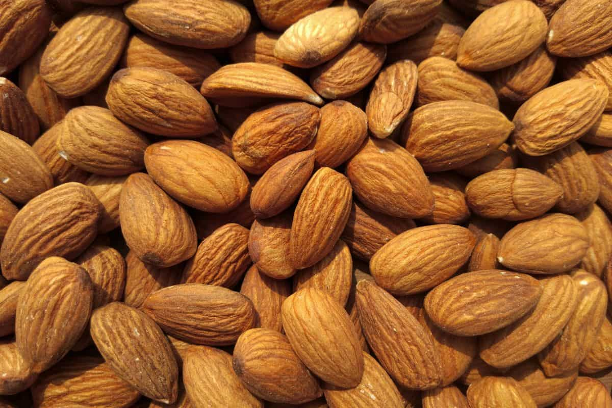 setumpuk almond