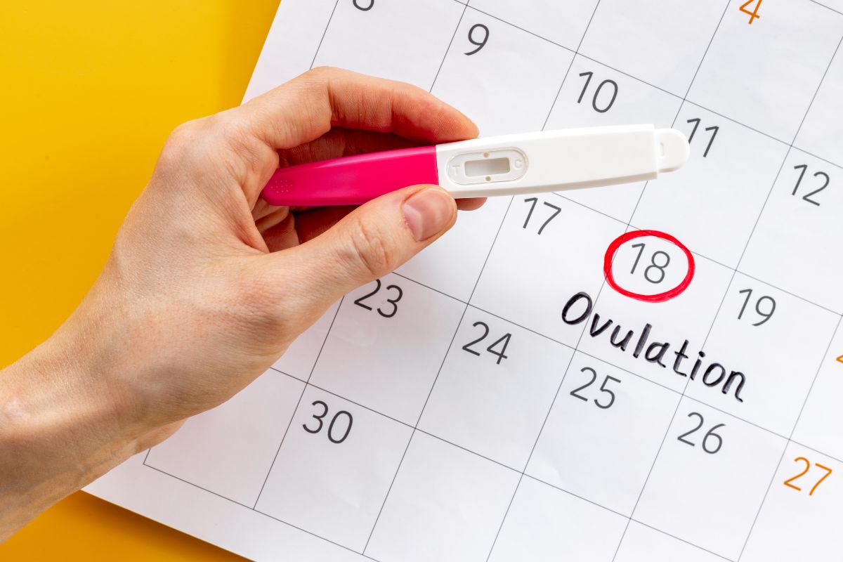 Kalender dengan tanda ovulation